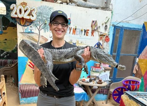 Crocodiles in Aswan