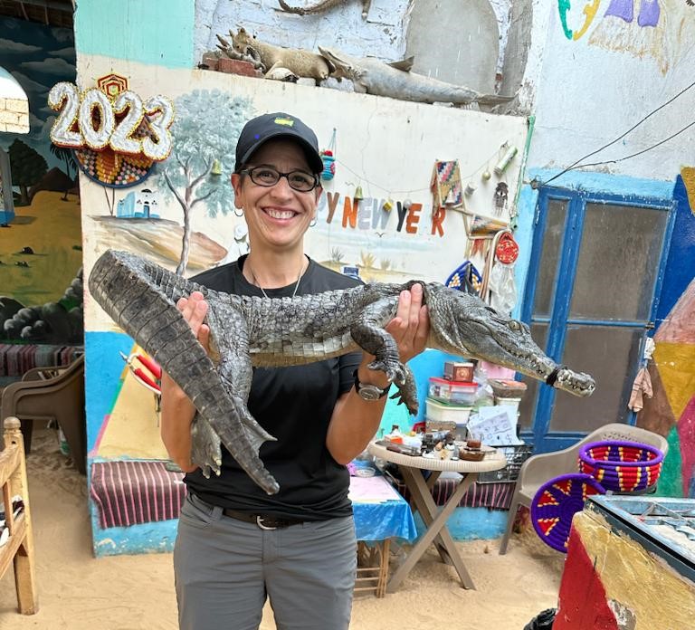 Crocodiles in Aswan